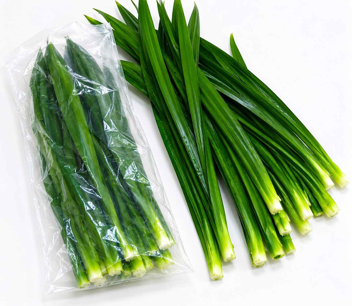 香蘭葉(斑斕葉)