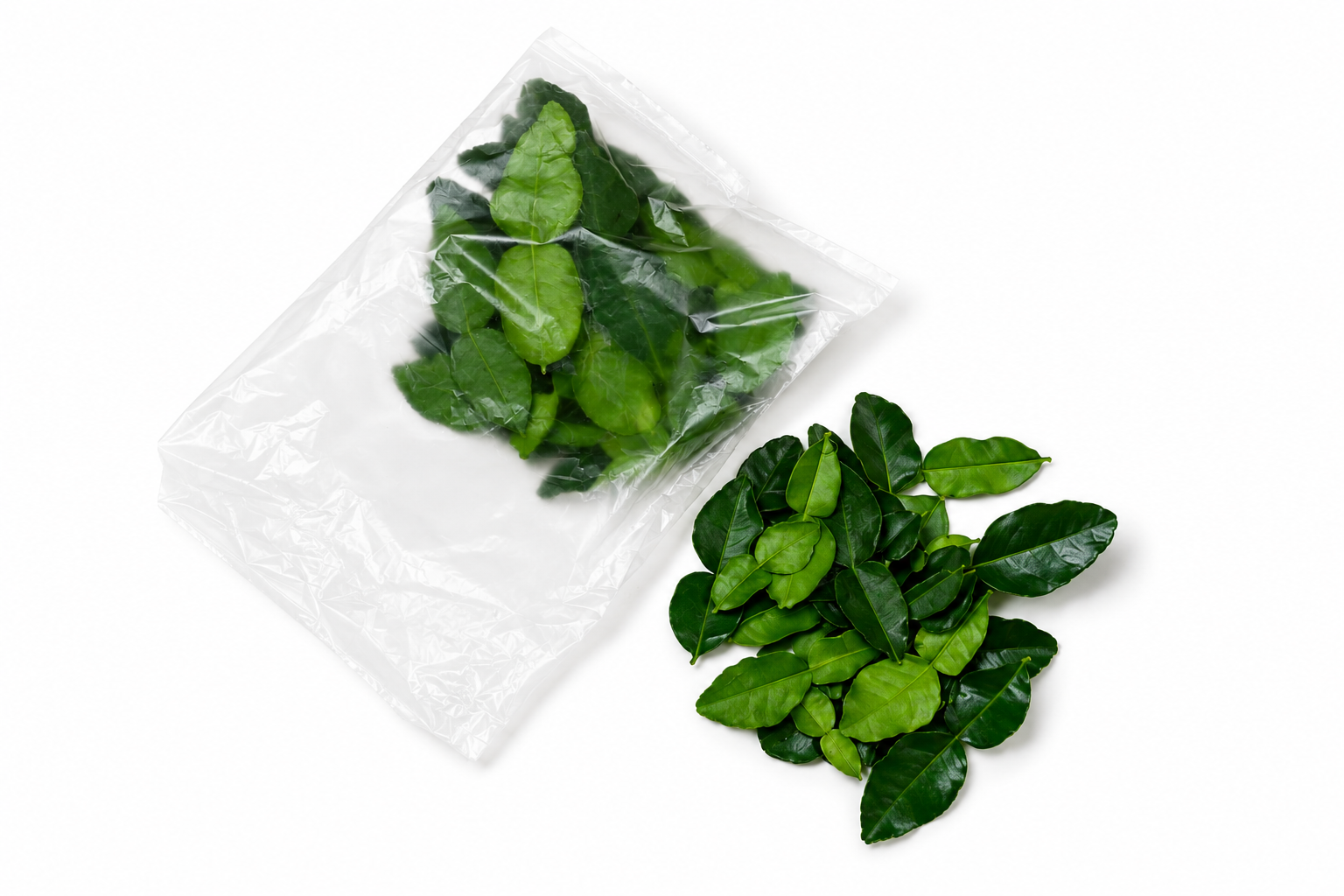 馬蜂橙葉(泰式檸檬葉)